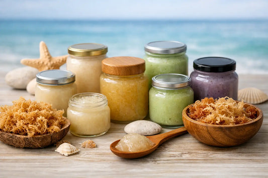 8 Best Sea Moss Gel Brands to Try