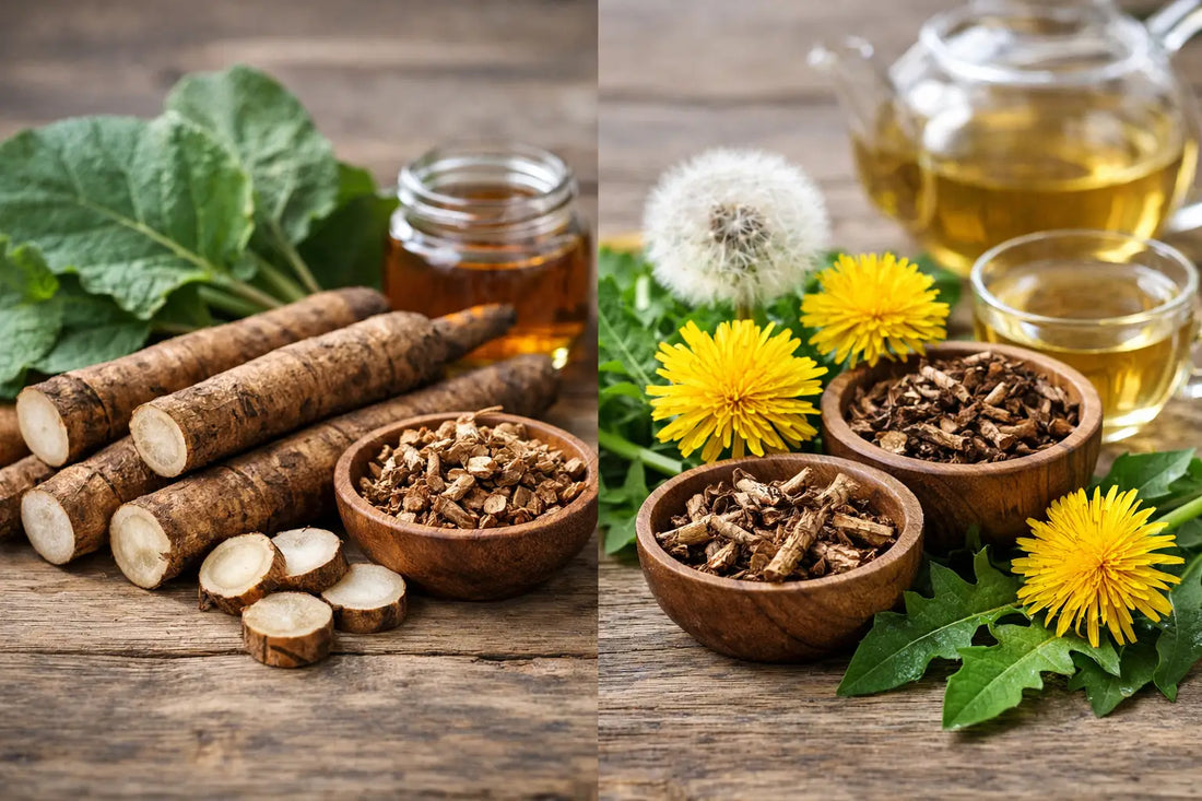 Burdock Root Versus Dandelion for Daily Wellness