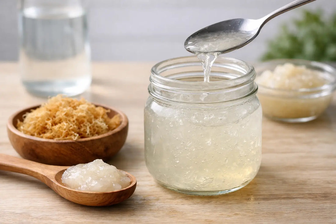 Why Is My Sea Moss Watery? Causes and Fixes