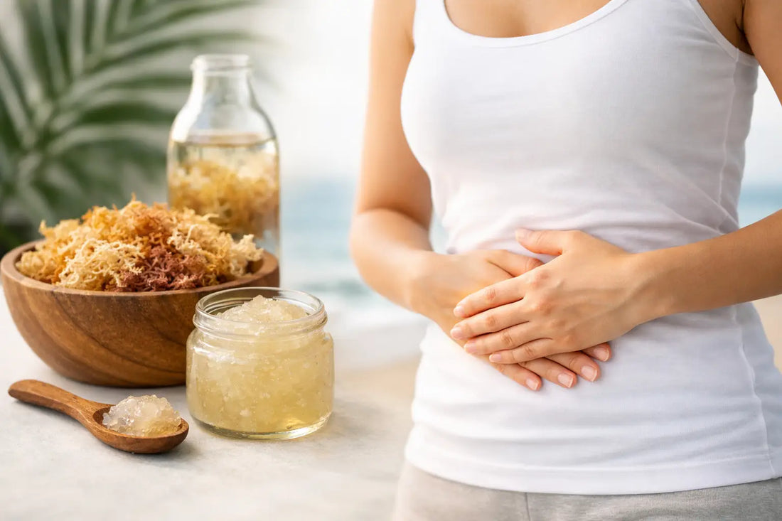 Is Sea Moss Good for Digestion?