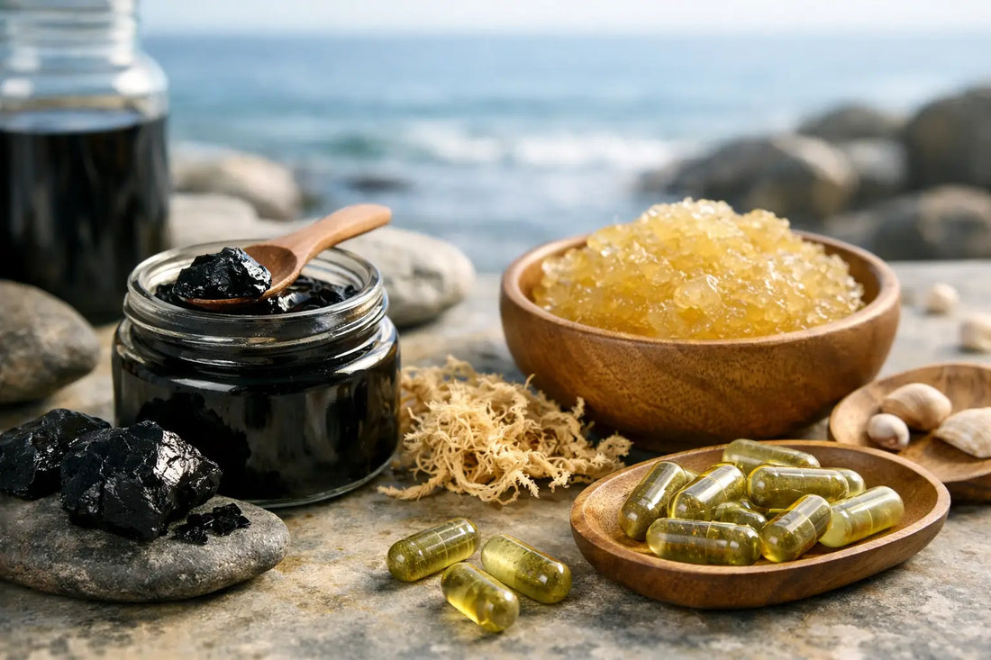 Is a Shilajit Sea Moss Supplement Worth It?