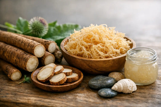 Burdock Root and Sea Moss Benefits Explained